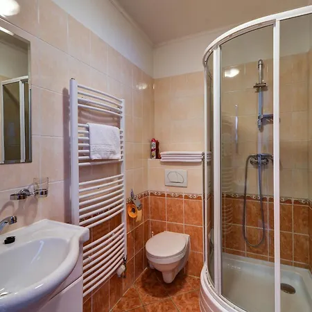Apartmany U Adama Rokytnice v Orlickych Horach Exterior photo