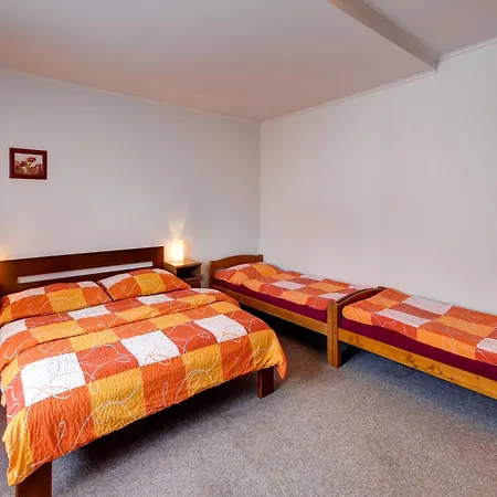 Apartmany U Adama Rokytnice v Orlickych Horach Exterior photo