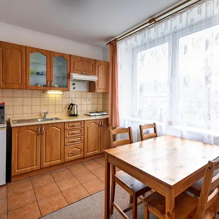 Apartmany U Adama Rokytnice v Orlickych Horach Exterior photo