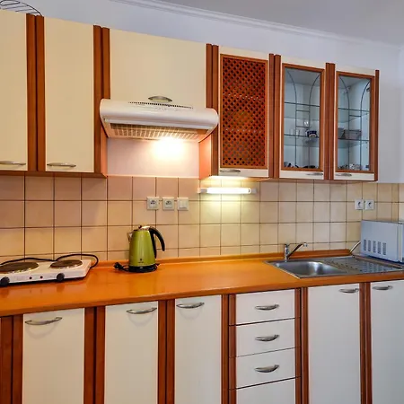 Apartmany U Adama Rokytnice v Orlickych Horach Exterior photo